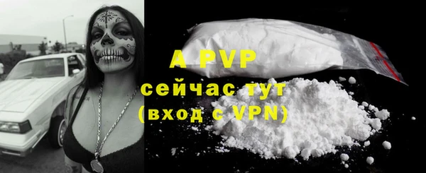 apvp Алзамай
