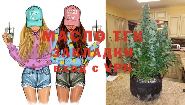 тгк Арсеньев