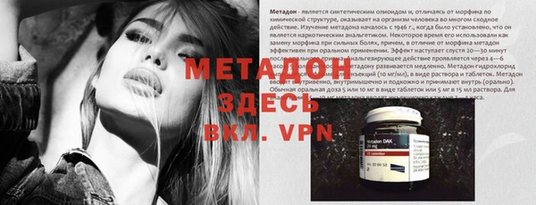 apvp Алзамай