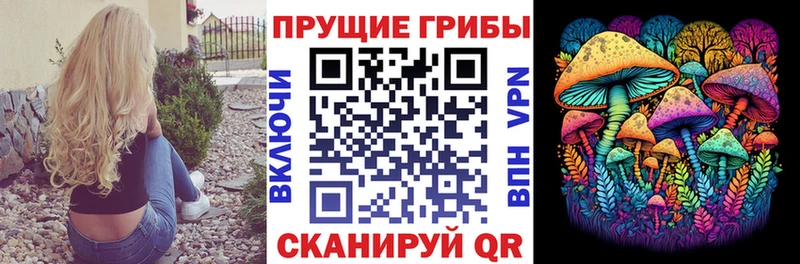 Псилоцибиновые грибы Cubensis магазин наркотиков Георгиевск