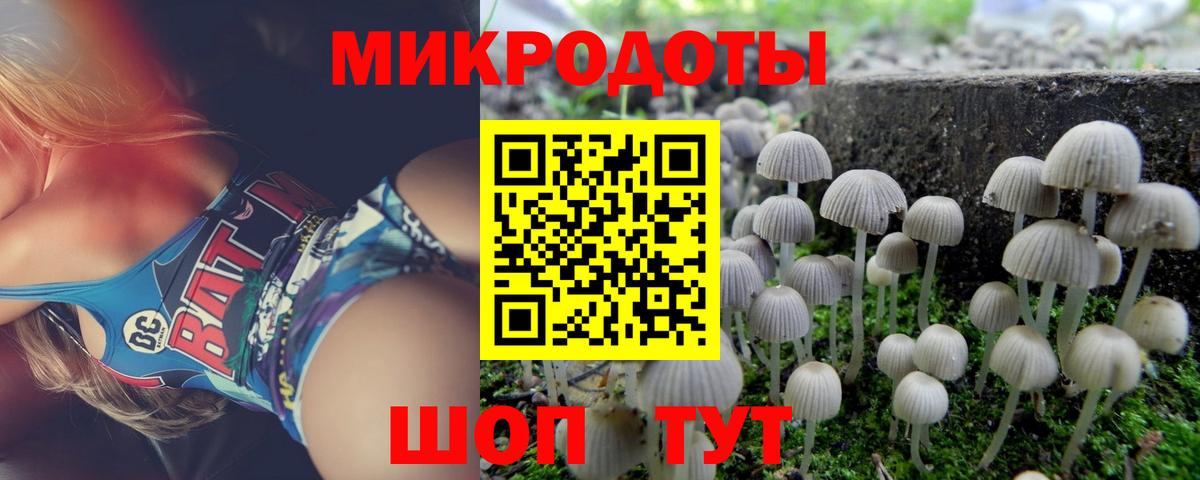 Георгиевск  Галлюциногенные грибы мицелий  Вход с VPN  Галлюциногенные грибы ЛСД 